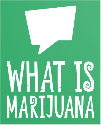 What is Marijuana